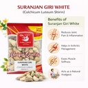 suranjan-giri-meethi-suranjan-shirin-who-61klnR6K4JL.jpg