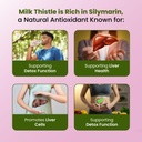zeroharm-nano-milk-thistle-800-mg-with-8-61PRPBBIYBL.jpg