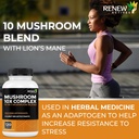 renew-actives-mushroom-complex-2-capsule-6.jpg