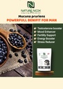organic-black-kaunch-beej-powder-100g-pu-81nD2FJqPuL.jpg