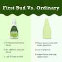 first-bud-organics-pure-stevia-drops-20m-51L6h0btuhL.jpg