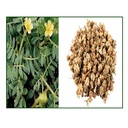 iagrifarm-gokshura-powder-250g-nerunji-m-71QRICyoikL.jpg