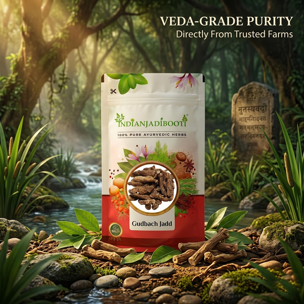 indianjadibooti-gudbach-jadd-vacha-root--81V2PGOz5sL.jpg