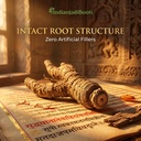 indianjadibooti-gudbach-jadd-vacha-root--81hz+U8h7FL.jpg