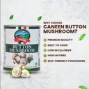 caneen-fresh-button-mushroom-800g-clean--71MqYJ1w9uL.jpg