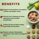 trinadi-tn-ashmaveda-tablets-ayurvedic-g-81lHtHij-AL.jpg