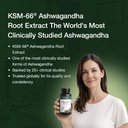 ksm-66-ashwagandha-500-mg-60-veg-capsule-61n7YnNkP5L.jpg