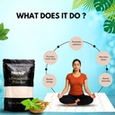 100-organic-ashwagandha-powder-pure-ayur-61dydqyoiOL.jpg