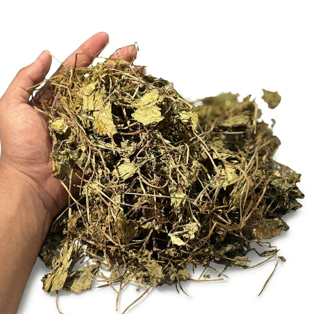 100-natural-brahmi-leaves-100g-natural-s-71CviPMtSiL.jpg