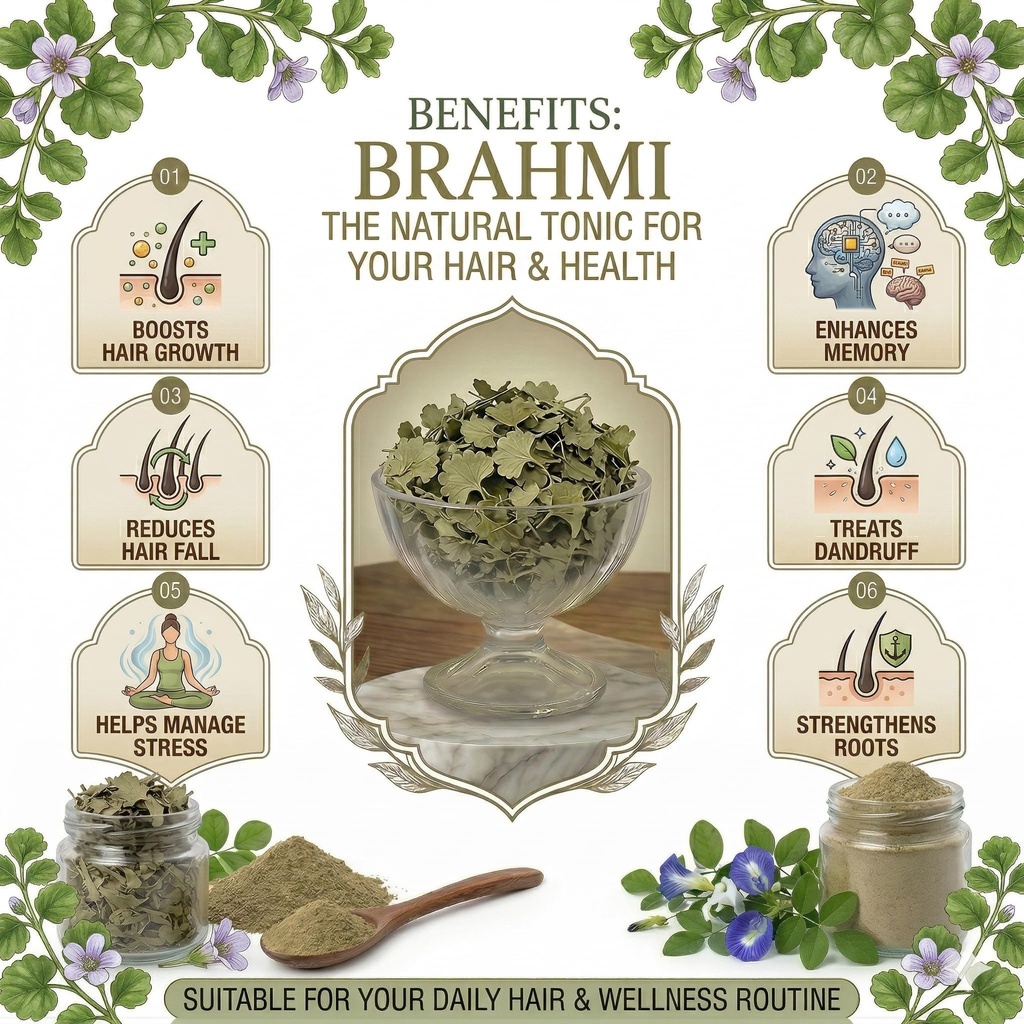 100-natural-brahmi-leaves-100g-natural-s-91-GjdOESUL.jpg