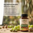 triphala-tablets-60-count-pure-ayurvedic-71H9tqCIOKL.jpg