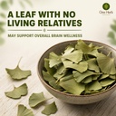 one-herb-ginkgo-biloba-tea-leaves-100g-m-71ieDm7kafL.jpg
