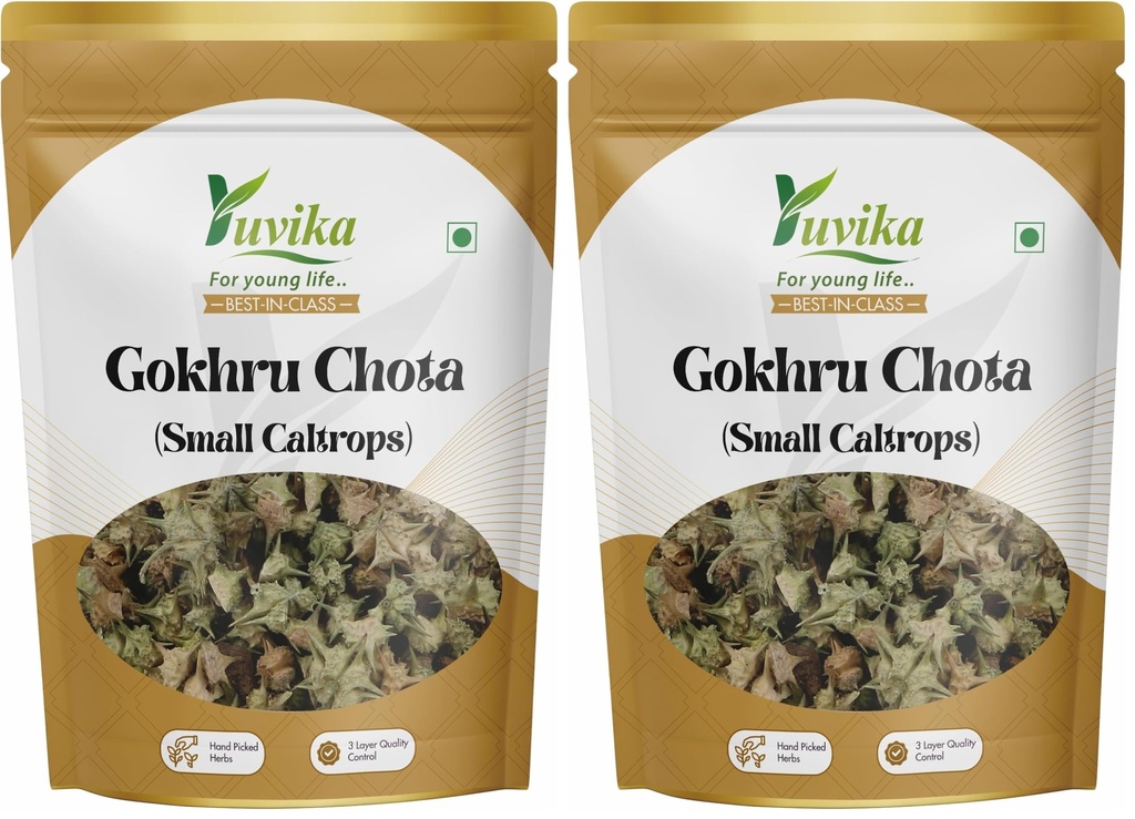 yuvika-gokhru-chota-gokhroo-chota-tribul-815Dn3g1qbL.jpg