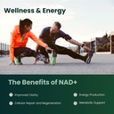 nad-spray-100-sprays-nicotinamide-adenin-6.jpg