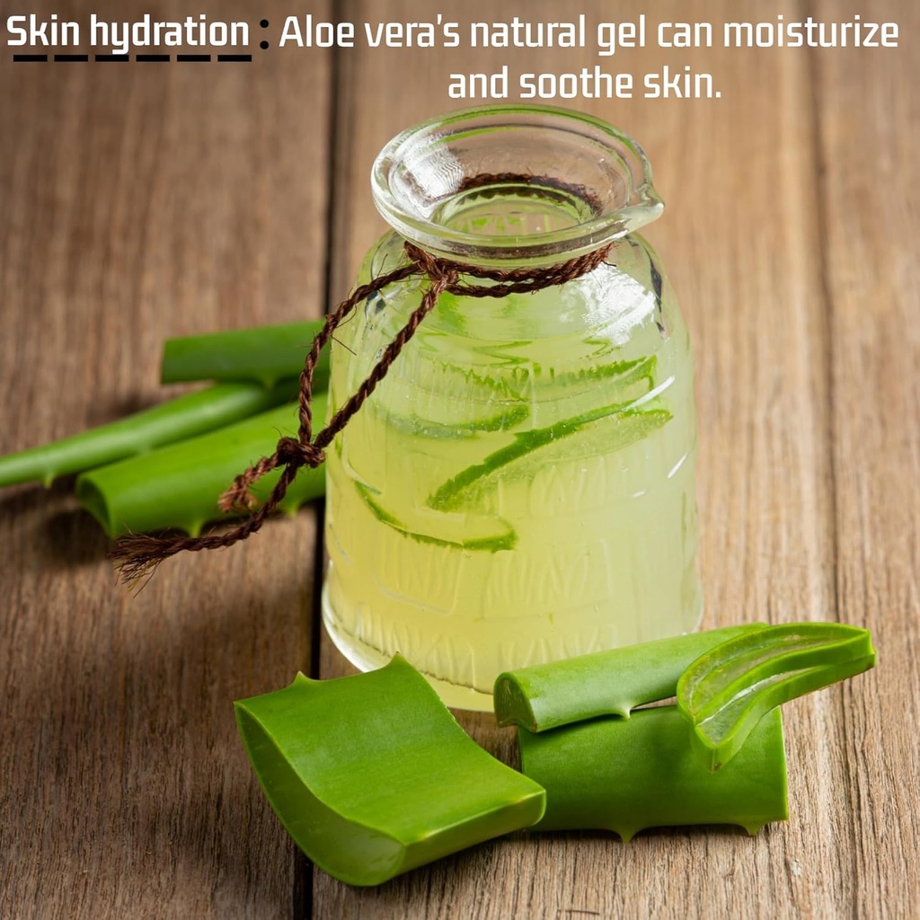 genericvills-natural-fresh-aloe-vera-lea-71WkNEyrFDL.jpg