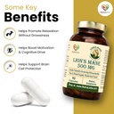 lion-s-mane-mushroom-extract-500-mg-heri-617Z-a80yaL.jpg