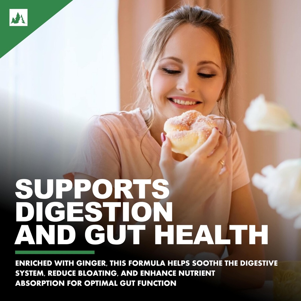 amla-extract-10x-potency-with-zinc-ginge-81RUrrgYfAL.jpg