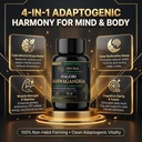 ashwagandha-500mg-root-extract-capsules--81YfP69sD5L.jpg