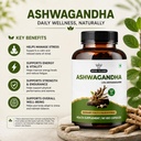herb-island-ashwagandha-capsules-for-dai-71KHZ8qVDVL.jpg