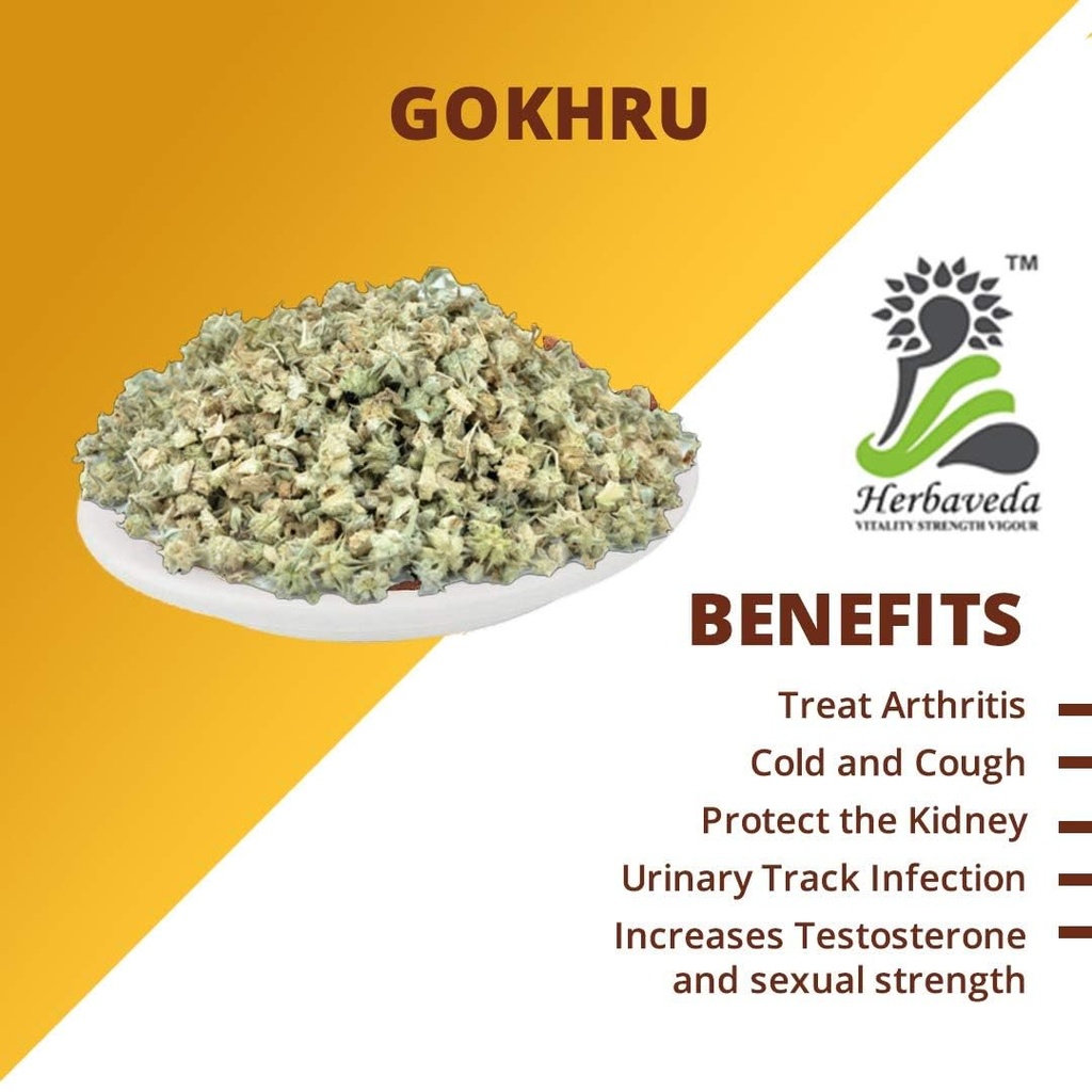 herbaveda-chota-gokhru-sabut-200g-pure-t-61itsgcHvEL.jpg