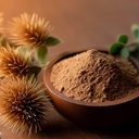 gokhru-powder-150g-gokshura-tribulus-ter-61pYFOjQlZL.jpg