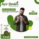 gudmar-gudmar-leaves-raw-madhunashini-si-81gWADzl+FL.jpg