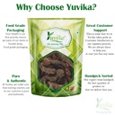 yuvika-bispais-bisfais-polypodium-vulgar-61pfdmyfXUL.jpg