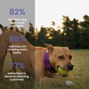 absolut-pet-hip-joint-chews-for-dogs-glu-61hRtGm6TQL.jpg