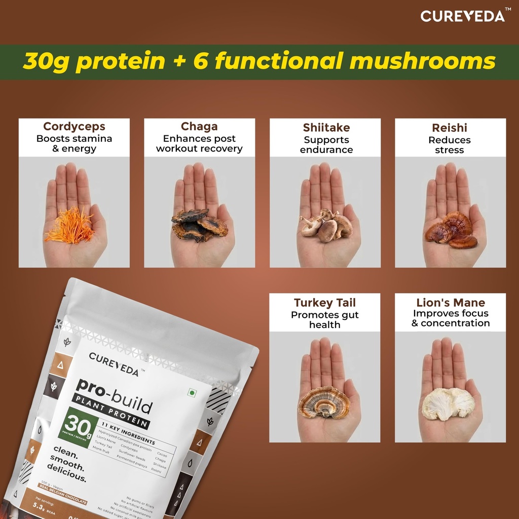 cureveda-pro-build-plant-protein-powder--81ghAyz+GIL.jpg