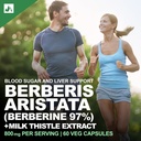 berberis-aristata-berberine-97-with-milk-81DqJogeT6L.jpg