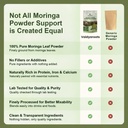 organic-moringa-leaf-powder-1kg-sahjan-d-71CoysdfZnL.jpg