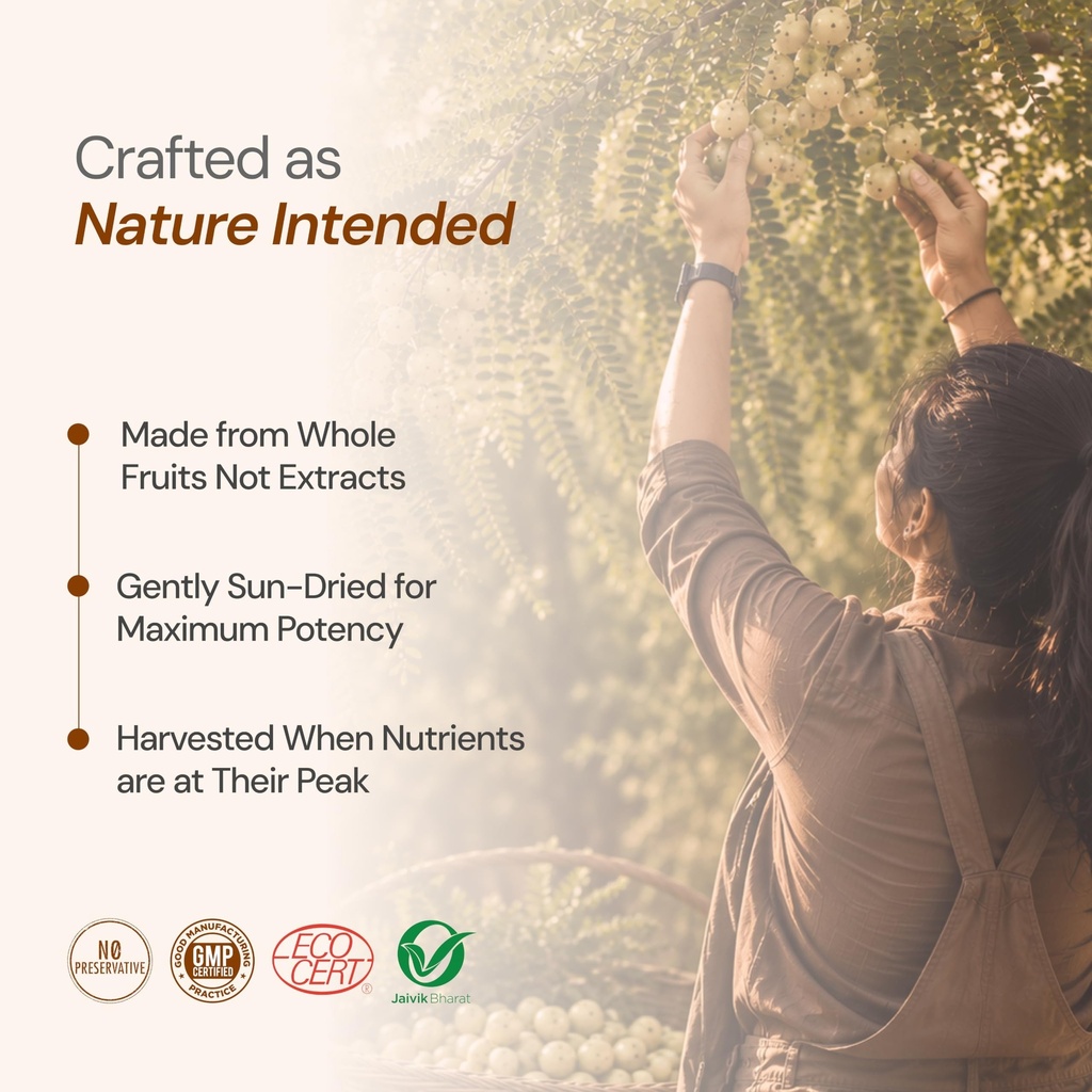 maharishi-ayurveda-triphala-tablets-1000-81phRe8rqDL.jpg