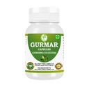 ayurvedic-gurmar-gudmar-capsules-500mg-6-51j9S-e1qwL.jpg