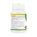 ayurvedic-gurmar-gudmar-capsules-500mg-6-51gstyeEeIL.jpg