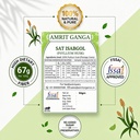 sat-isabgol-psyllium-husk-50gm-natural-f-81sGxT3UYlL.jpg
