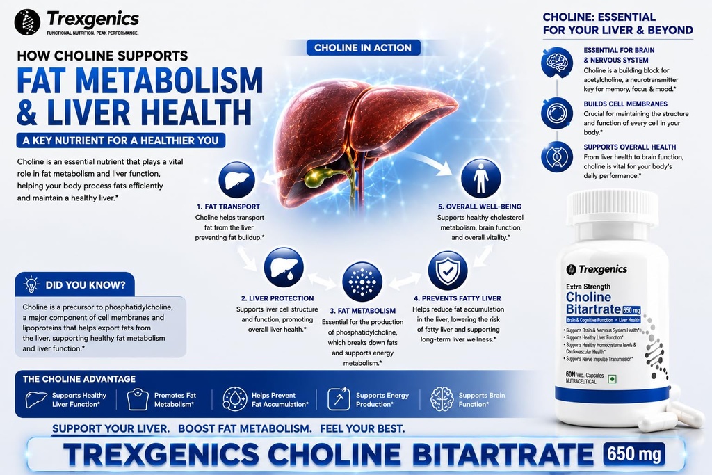 trexgenics-choline-bitartrate-650-mg-cog-71Gx4LNqcyL.jpg