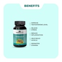 sonark-s-nisarga-herbs-pure-ashwagandha--61IWSXgToNL.jpg
