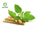 organic-ashwagandha-powder-150g-71eQ6EVW5fL.jpg