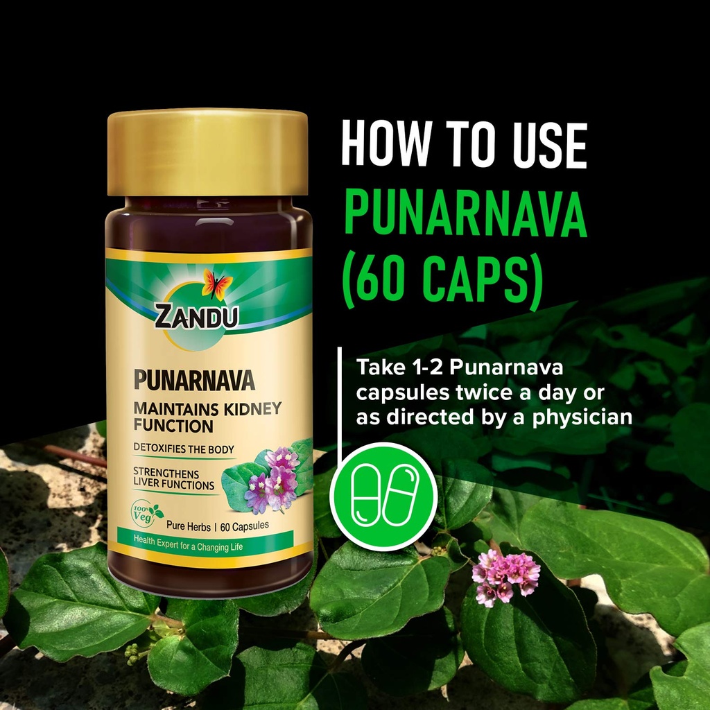 zandu-punarnava-capsules-with-goodness-o-71urYBk3FXL.jpg