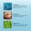 gut-army-probiotics-for-constipation-ibs-61IQ0SObRbL.jpg
