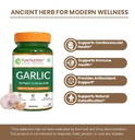 pure-nutrition-lahsun-garlic-supplement--51WXOagfElL.jpg