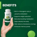 phytonutics-green-coffee-bean-extract-su-71i49ZDVK6L.jpg