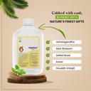 thunder-blast-ayurvedic-supports-energy--61RrAmDd+eL.jpg