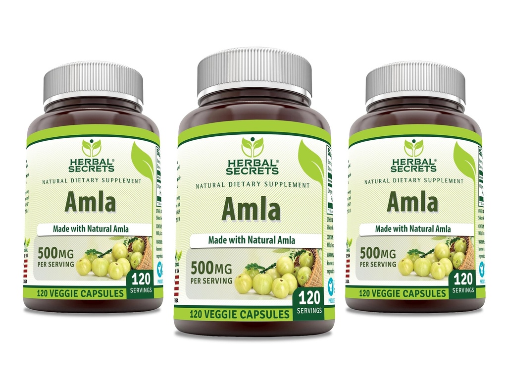 herbal-secrets-amla-supplement-500-mg-pe-813Fo5yHeiL.jpg