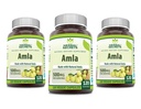 herbal-secrets-amla-supplement-500-mg-pe-813Fo5yHeiL.jpg