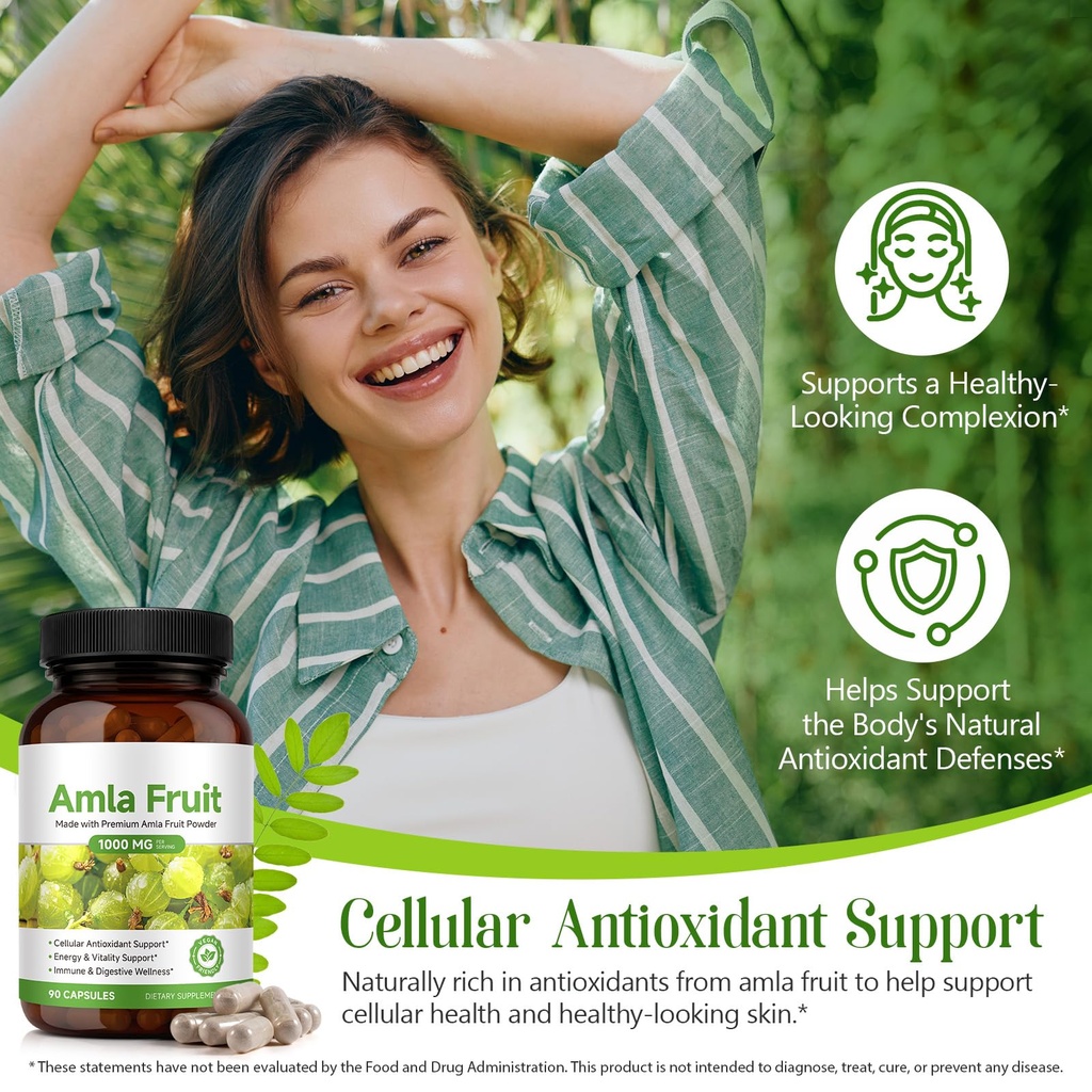 amla-fruit-supplement-1000mg-90-vegan-ca-81Zo8sasHTL.jpg