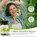 amla-fruit-supplement-1000mg-90-vegan-ca-81Zo8sasHTL.jpg