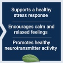 life-extension-calm-mag-magnesium-acetyl-71tYQwvR5GL.jpg