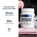 transparent-labs-grass-fed-collagen-pept-617iN2+kR-L.jpg