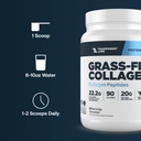 transparent-labs-grass-fed-collagen-pept-514vB5fY5YL.jpg